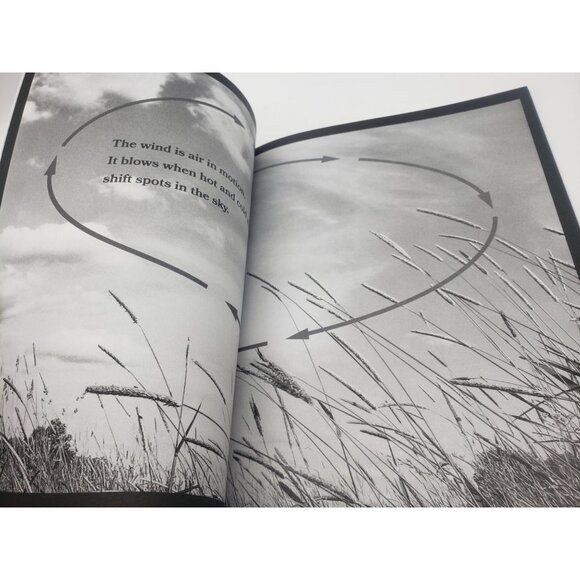 The Geodes Educational Book Curriculum Set Seed Scatter First Steps Wind Giants - Picture 13 of 16